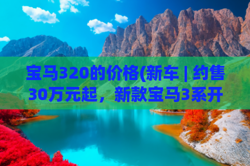 宝马320的价格(新车 | 约售30万元起，新款宝马3系开启交付，标配双联屏/拨杆换挡)