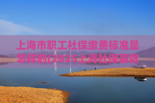 上海市职工社保缴费标准是怎样的(2025上海社保基数新政策，缴费、待遇全解析)