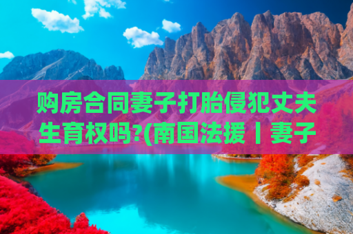 购房合同妻子打胎侵犯丈夫生育权吗?(南国法援丨妻子私自打胎，是否侵犯了丈夫的生育权)