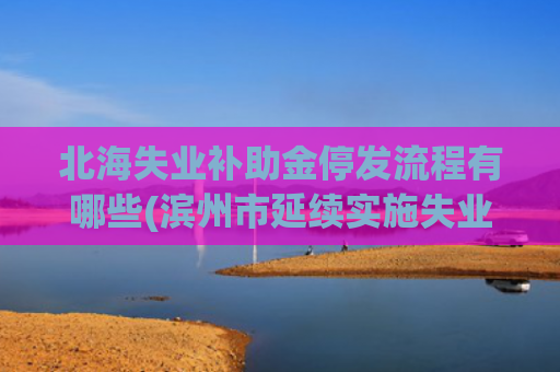 北海失业补助金停发流程有哪些(滨州市延续实施失业保险稳岗返还政策的公告)