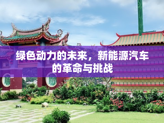绿色动力的未来，新能源汽车的革命与挑战