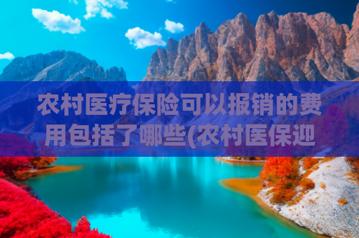 农村医疗保险可以报销的费用包括了哪些(农村医保迎新规，补助标准新增30元？3个变化家家户户需了解清楚)