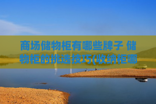 商场储物柜有哪些牌子 储物柜的挑选技巧(收纳柜哪个品牌性价比高-易高定制家具)