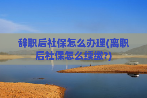 辞职后社保怎么办理(离职后社保怎么续缴?)