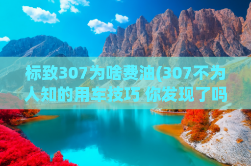 标致307为啥费油(307不为人知的用车技巧 你发现了吗？)