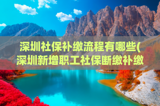 深圳社保补缴流程有哪些(深圳新增职工社保断缴补缴等8项服务秒批，市民办理不用跑现场)