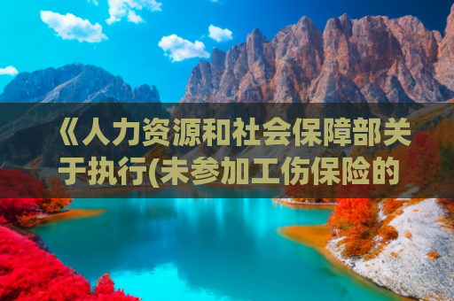《人力资源和社会保障部关于执行(未参加工伤保险的，可由用人单位一次性支付工伤保险待遇)