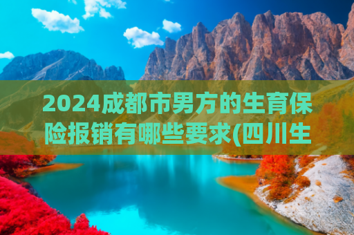 2024成都市男方的生育保险报销有哪些要求(四川生育津贴如何申请？具体操作看过来)