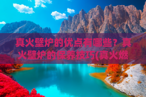 真火壁炉的优点有哪些？真火壁炉的保养技巧(真火燃木壁炉使用规范有哪些包括安装、操作、保养提示？)