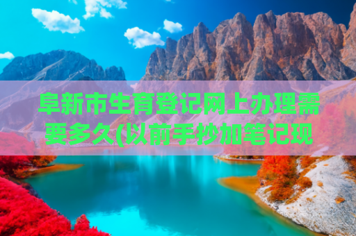 阜新市生育登记网上办理需要多久(以前手抄加笔记现在手机采数据)