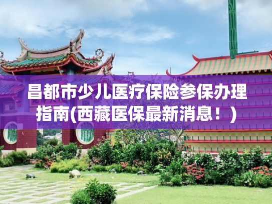 昌都市少儿医疗保险参保办理指南(西藏医保最新消息！)