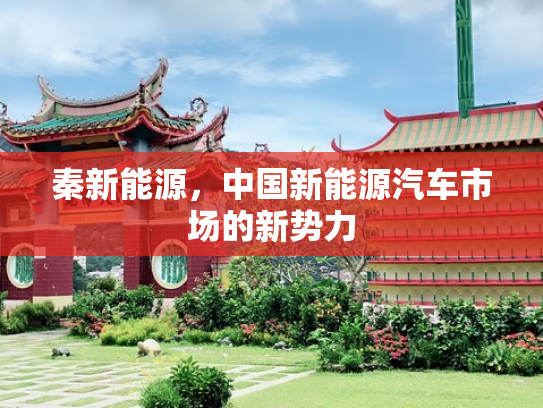秦新能源，中国新能源汽车市场的新势力