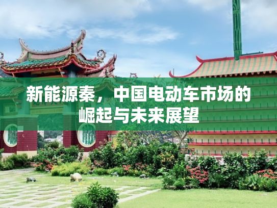 新能源秦，中国电动车市场的崛起与未来展望