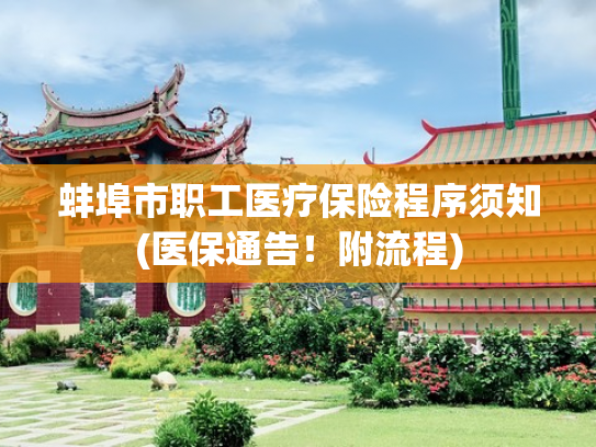 蚌埠市职工医疗保险程序须知(医保通告！附流程)