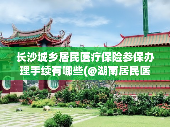 长沙城乡居民医疗保险参保办理手续有哪些(@湖南居民医保参保人，参保缴费和待遇图解请收好)