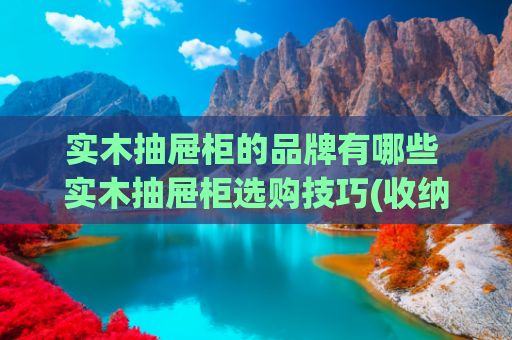 实木抽屉柜的品牌有哪些 实木抽屉柜选购技巧(收纳柜什么牌子质量好？家用儿童房书房大容量抽屉储物柜品牌推荐)