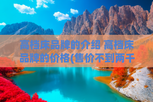 高档床品牌的介绍 高档床品牌的价格(售价不到两千元即可入手高端真皮大床，8H Sugar时尚真皮软床)