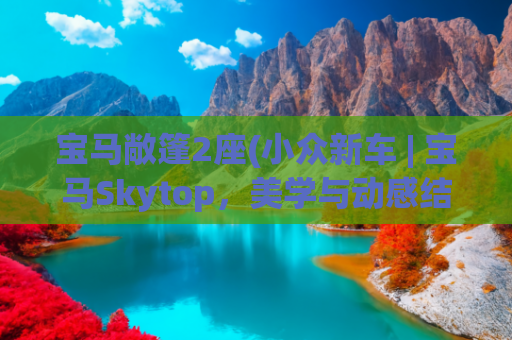 宝马敞篷2座(小众新车 | 宝马Skytop，美学与动感结合奢华敞篷双座跑车)