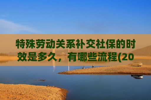 特殊劳动关系补交社保的时效是多久，有哪些流程(2025年一次性补缴社保全攻略：条件、流程及注意事项)