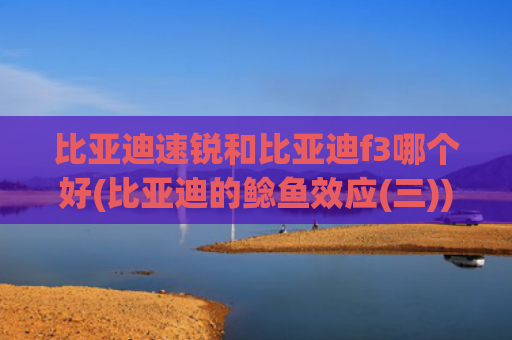 比亚迪速锐和比亚迪f3哪个好(比亚迪的鲶鱼效应(三))