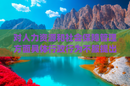 对人力资源和社会保障管理方面具体行政行为不服提出的行政复议办理（流程、材料、地点、费用、条件）(某装饰公司不服某区人力资源和社会保障局行政决定行政复议案)