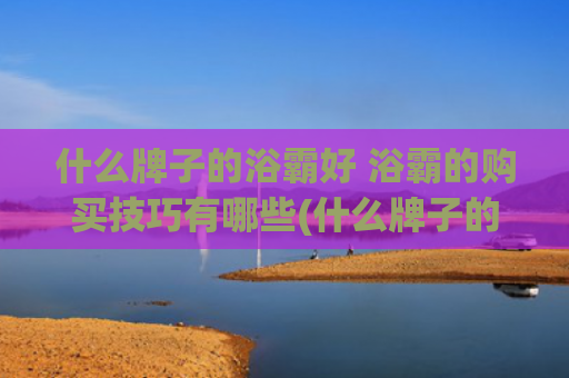 什么牌子的浴霸好 浴霸的购买技巧有哪些(什么牌子的浴霸好 浴霸选购技巧)