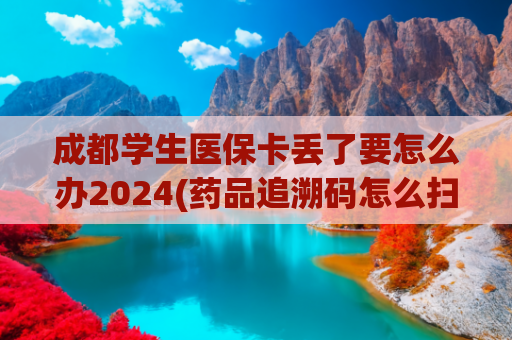 成都学生医保卡丢了要怎么办2024(药品追溯码怎么扫？有什么作用？这份详细操作指南请收下)