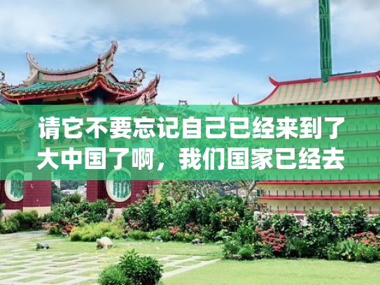 请它不要忘记自己已经来到了大中国了啊，我们国家已经去英语化了(道歉只会说sorry！这10种表达既有诚意又地道)