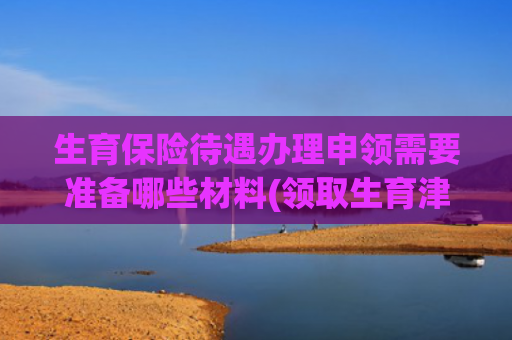 生育保险待遇办理申领需要准备哪些材料(领取生育津贴需准备什么资料，什么时候可以办理？户籍迁到英城对孩子中考有影响吗……| 你问我答169)