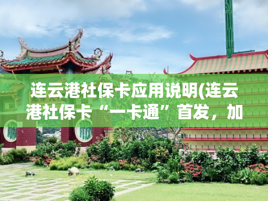 连云港社保卡应用说明(连云港社保卡“一卡通”首发，加快融入长三角一体化互联互通)