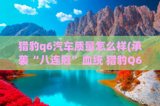 猎豹q6汽车质量怎么样(承袭“八连冠”血统 猎豹Q6越野力解码)