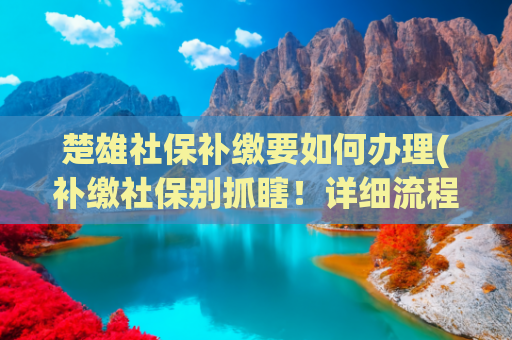 楚雄社保补缴要如何办理(补缴社保别抓瞎！详细流程看这里，轻松搞定不踩坑)