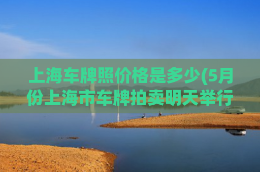 上海车牌照价格是多少(5月份上海市车牌拍卖明天举行，警示价92400元)