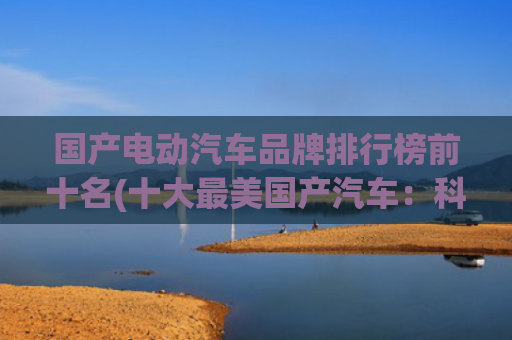 国产电动汽车品牌排行榜前十名(十大最美国产汽车：科技与美学的巅峰对决)