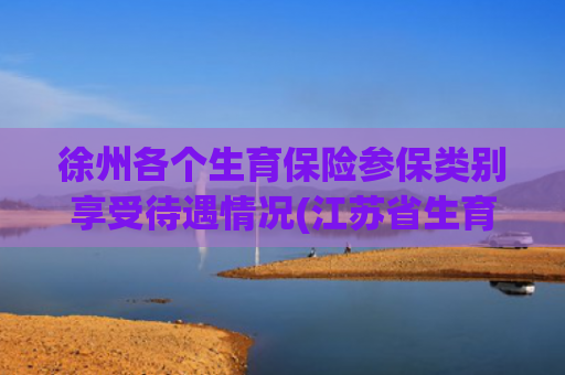 徐州各个生育保险参保类别享受待遇情况(江苏省生育津贴政策解读（2025最新版）)