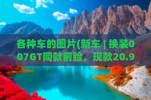 各种车的图片(新车 | 换装007GT同款前脸，现款20.99万元起，新款极氪007实车曝光)