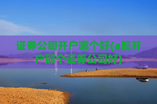 证券公司开户哪个好(a股开户那个证券公司好)