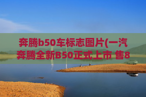 奔腾b50车标志图片(一汽奔腾全新B50正式上市 售8.18万元起)