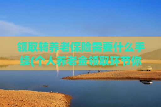 领取转养老保险需要什么手续(个人养老金领取环节你了解多少？)