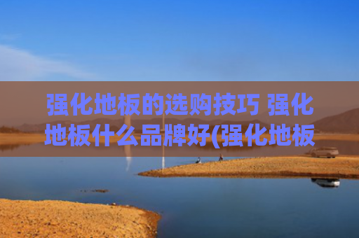 强化地板的选购技巧 强化地板什么品牌好(强化地板选购指南：用数据穿透营销迷雾)