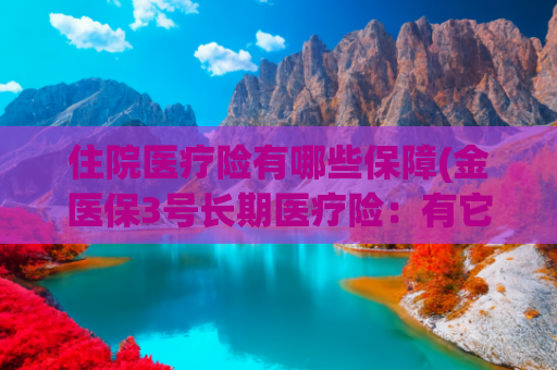 住院医疗险有哪些保障(金医保3号长期医疗险：有它住院也不用担心)