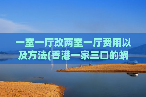 一室一厅改两室一厅费用以及方法(香港一家三口的蜗居：缩小客厅，30㎡一室改两室，没想到还挺舒适)