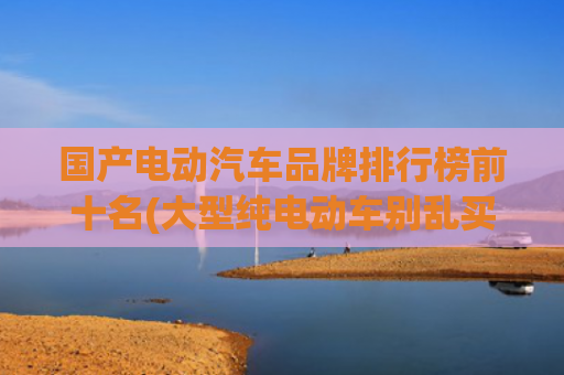 国产电动汽车品牌排行榜前十名(大型纯电动车别乱买 最新魅力指数榜单 国产新能源屠榜 小米SU7夺冠)