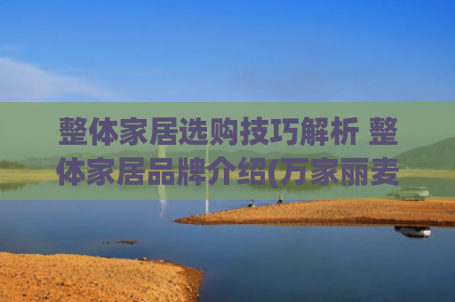 整体家居选购技巧解析 整体家居品牌介绍(万家丽麦克斯邦：意式美学，演绎家居时尚)