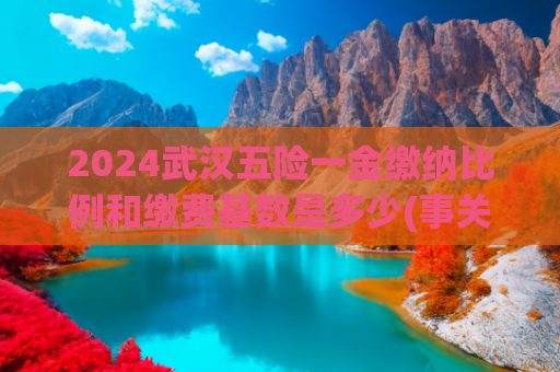 2024武汉五险一金缴纳比例和缴费基数是多少(事关武汉职工医保缴费，最新提醒)