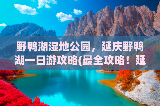 野鸭湖湿地公园，延庆野鸭湖一日游攻略(最全攻略！延庆野鸭湖观鸟月历~)