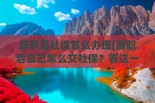 辞职后社保怎么办理(离职后自己怎么交社保？看这一篇就懂了)