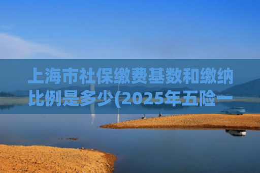 上海市社保缴费基数和缴纳比例是多少(2025年五险一金缴费新基数，定了！)