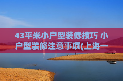 43平米小户型装修技巧 小户型装修注意事项(上海一对年轻夫妻43㎡的家，麻雀虽小，五脏俱全，越看越喜欢)