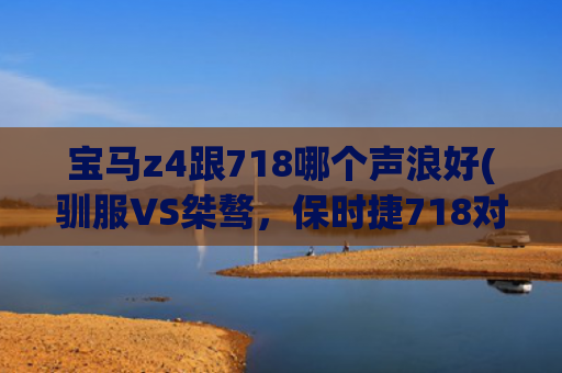 宝马z4跟718哪个声浪好(驯服VS桀骜，保时捷718对比宝马Z4，谁是你的菜)